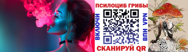 где продают   Всеволожск  Галлюциногенные грибы Cubensis 